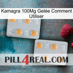 Kamagra 100Mg Gelée Comment Utiliser 25